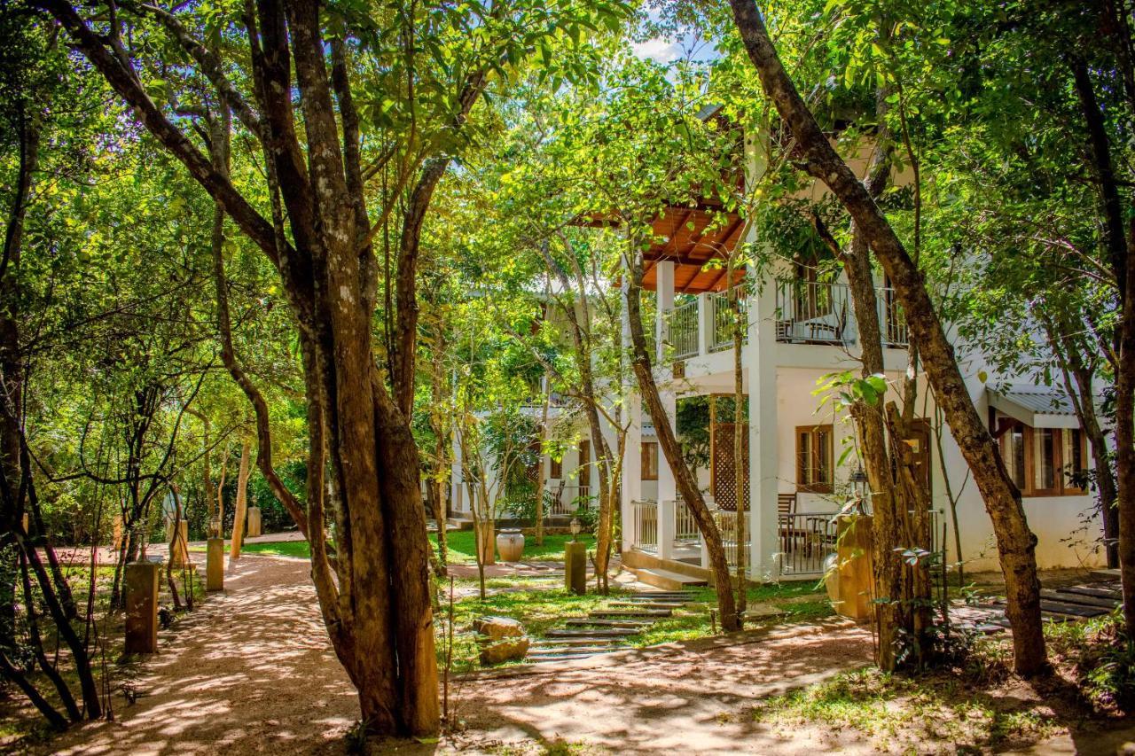 Amaara Forest Hotel Sigirîya Extérieur photo