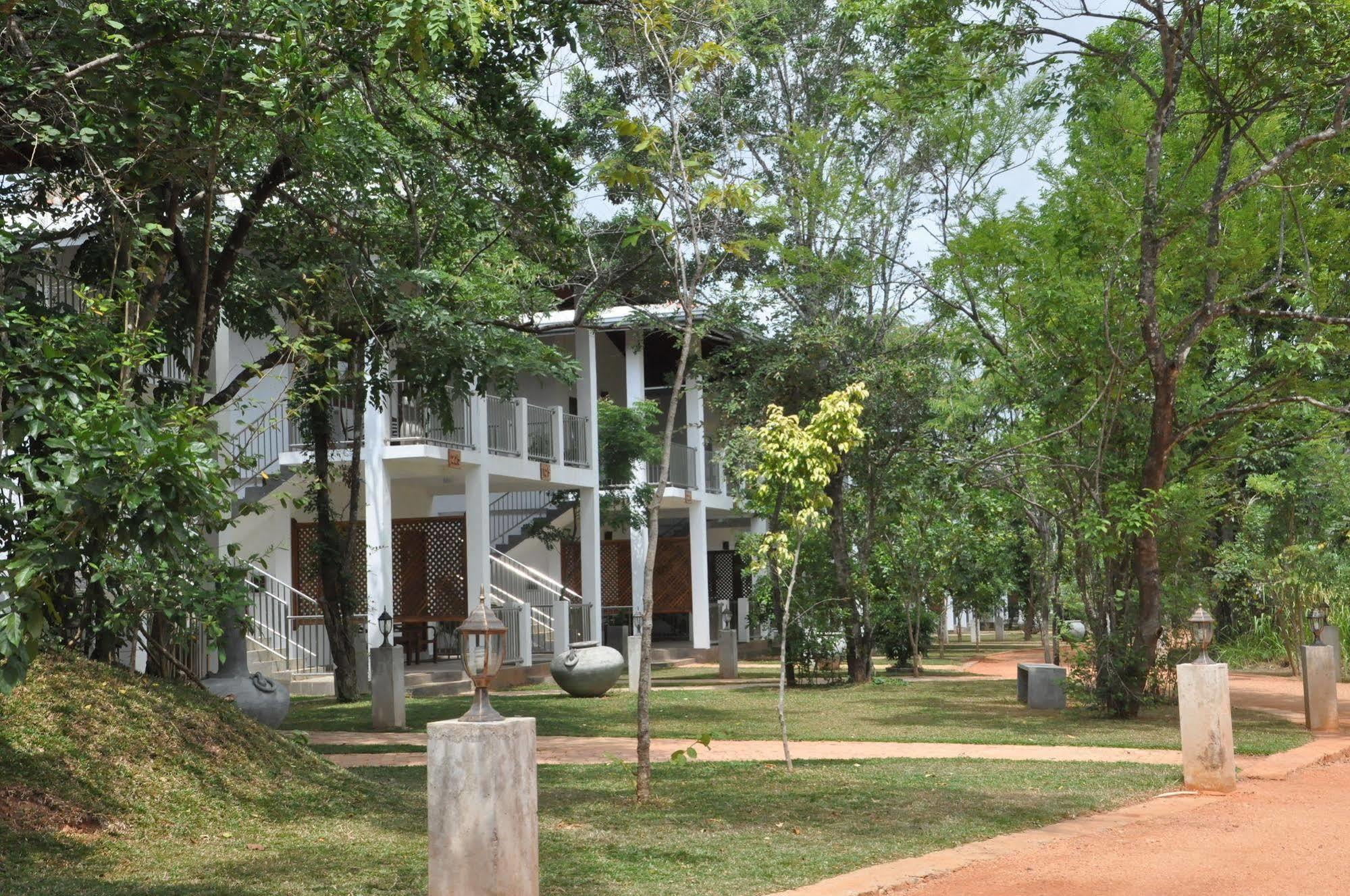 Amaara Forest Hotel Sigirîya Extérieur photo