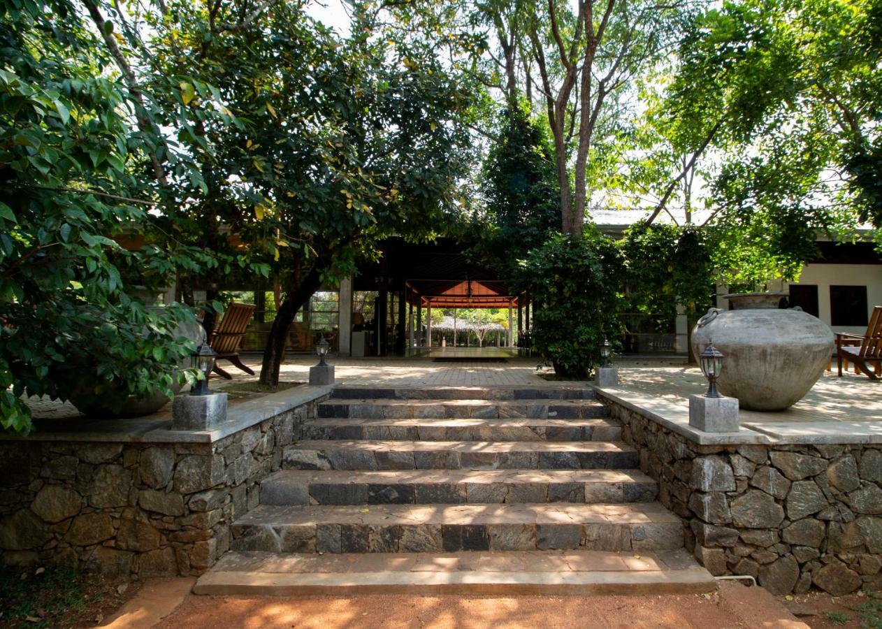 Amaara Forest Hotel Sigirîya Extérieur photo